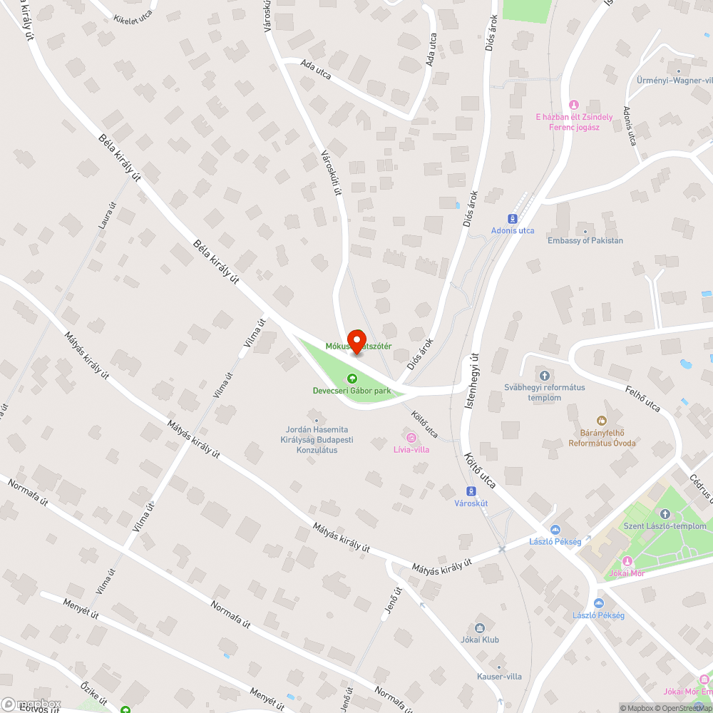 Kiégett utcai világítás bejelentés helye