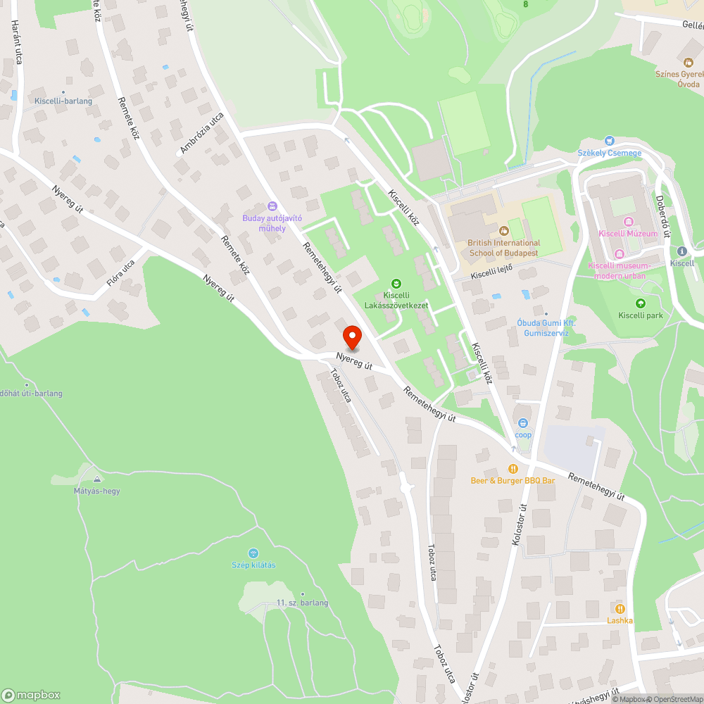 Járdára ránőtt növényzet bejelentés helye