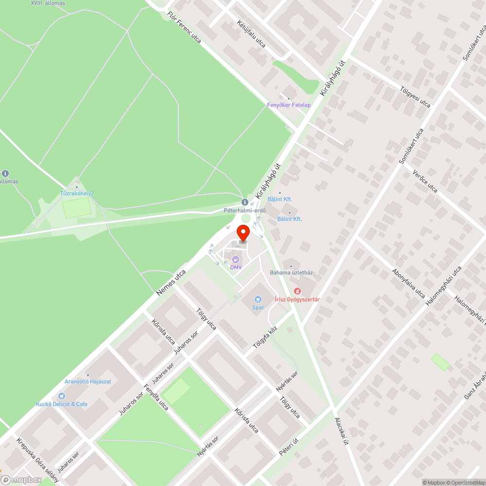 Elhagyott mszv nélküli bejelentés helye