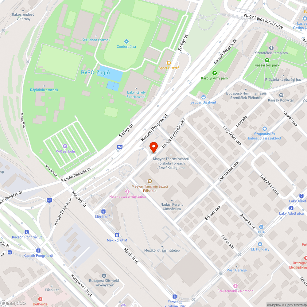 Letört faág a járdán bejelentés helye