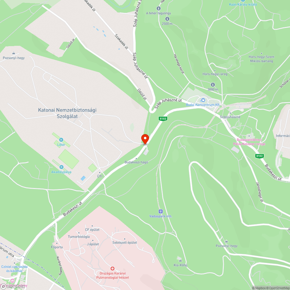 Budakeszi út 100. környéki kátyúk bejelentés helye