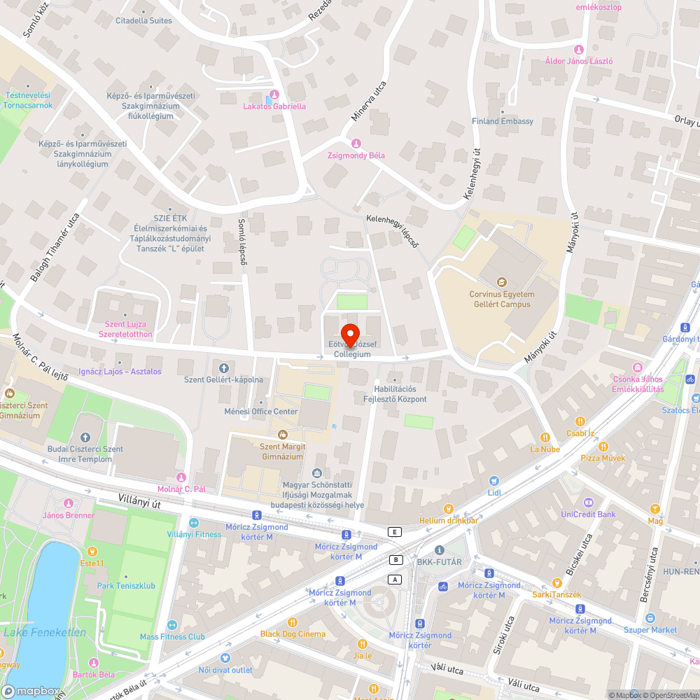 Fertelmes parkolás - fa pótlása bejelentés helye