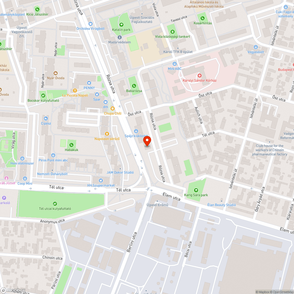 Kidőlt fa és letört ág bejelentés helye