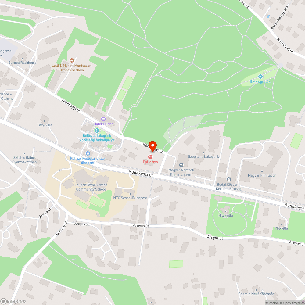 Leszakadt útpadka bejelentés helye