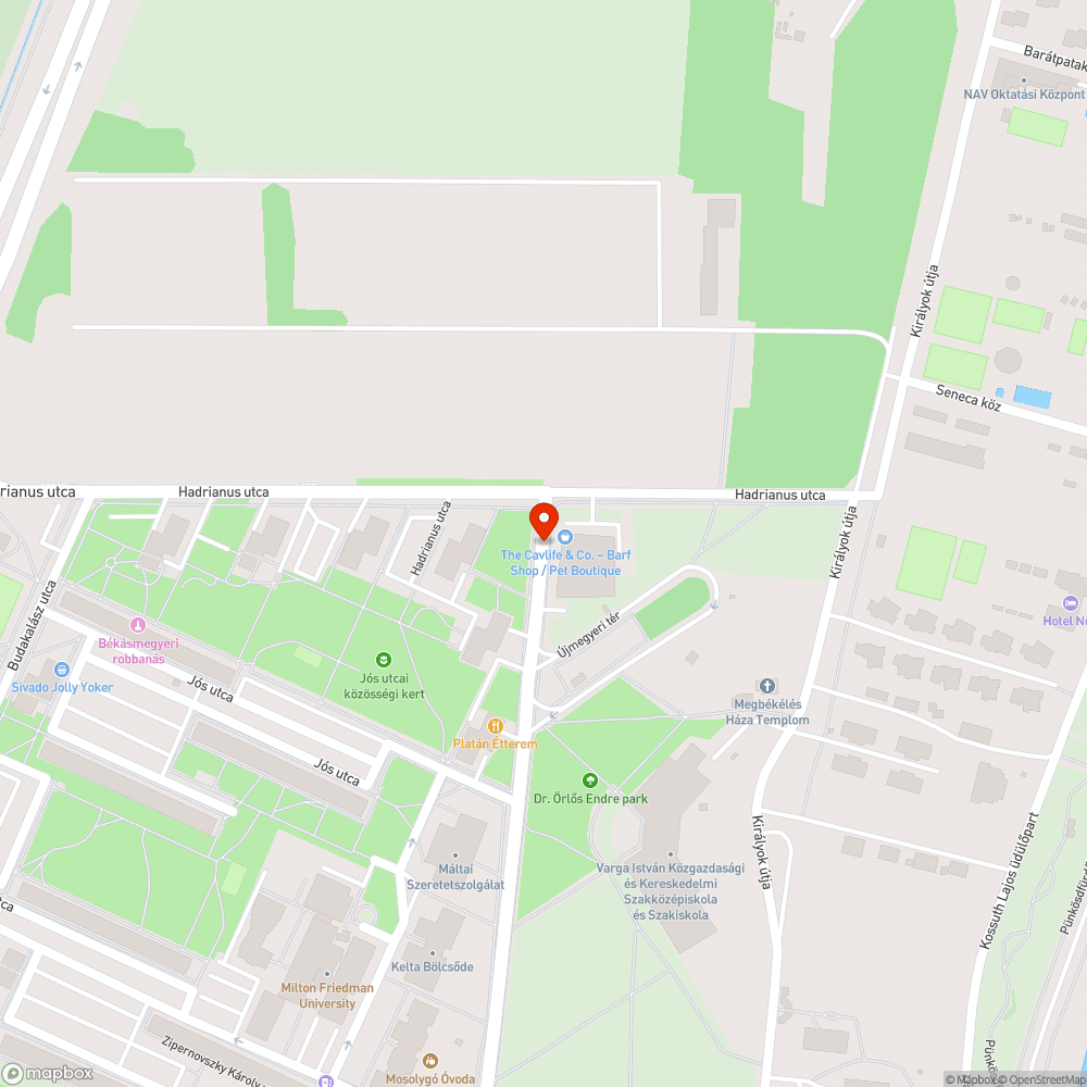 Kidöntötték a tükröt bejelentés helye