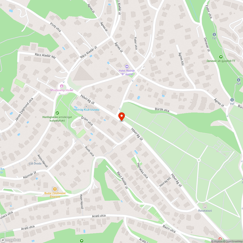 Hó utca BKK buszmegálló bejelentés helye