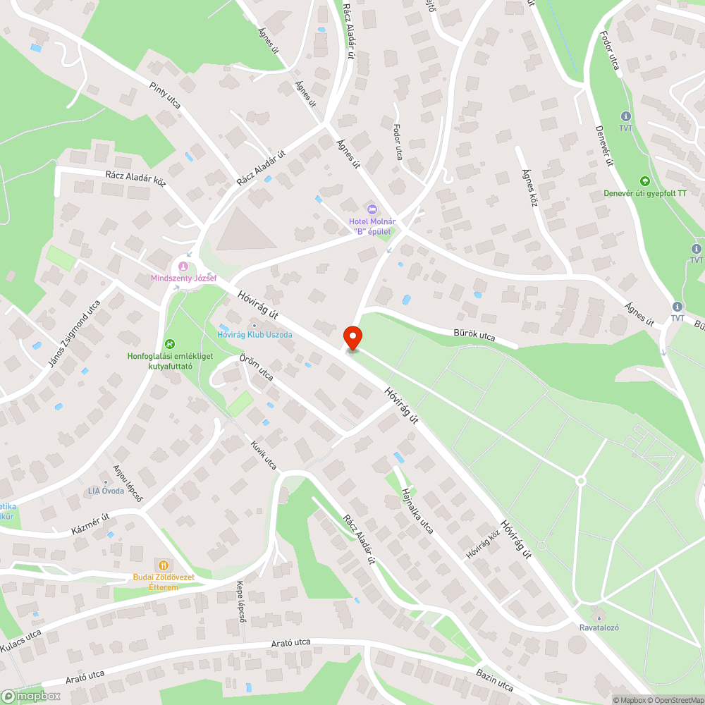 Lomtalanítás Hó utca - Hóvirág út bejelentés helye