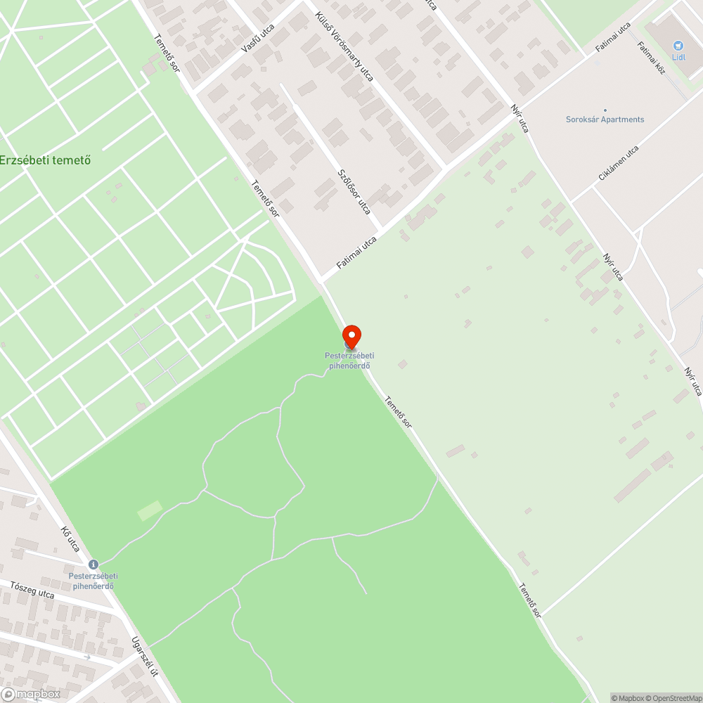 Szemétkupac a pesterzsébeti pihenőerdő Temető sor oldalánál bejelentés helye