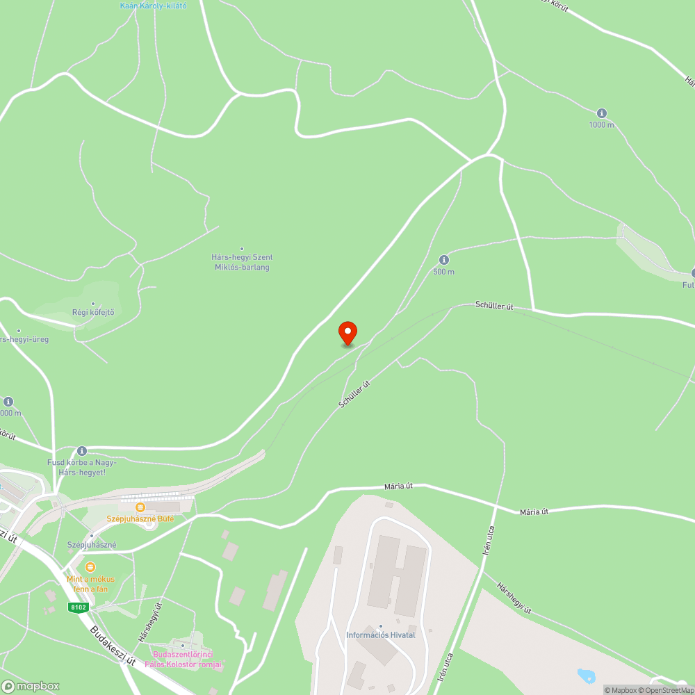 Kidőlt fa a Hárs-hegyi futókörön bejelentés helye