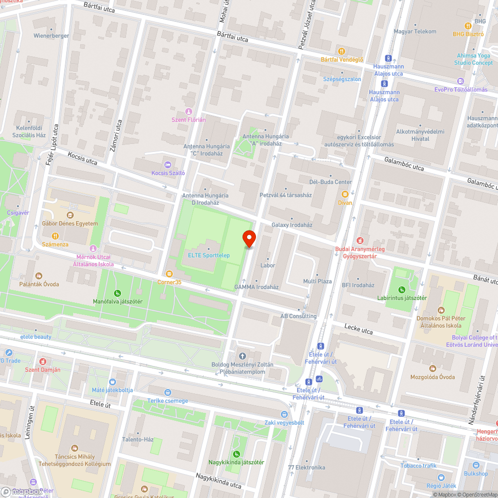 Letört nagy faágak a parkoló helyén bejelentés helye