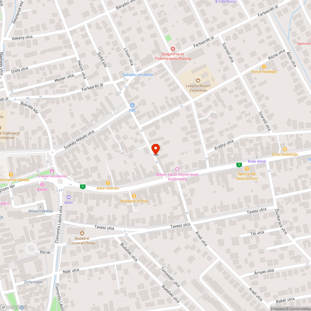 Parkoló jármű akadályozza a forgalmat bejelentés helye