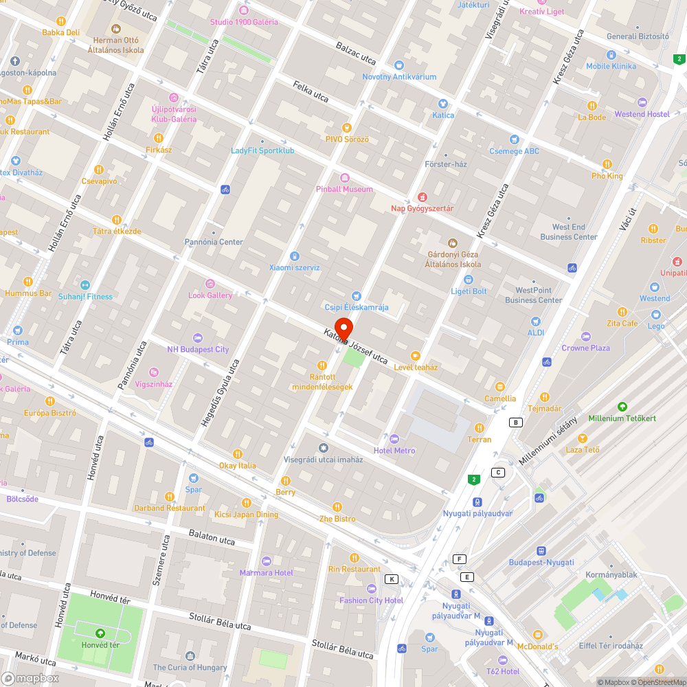 Kutyakaki szemetes elhelyezése bejelentés helye