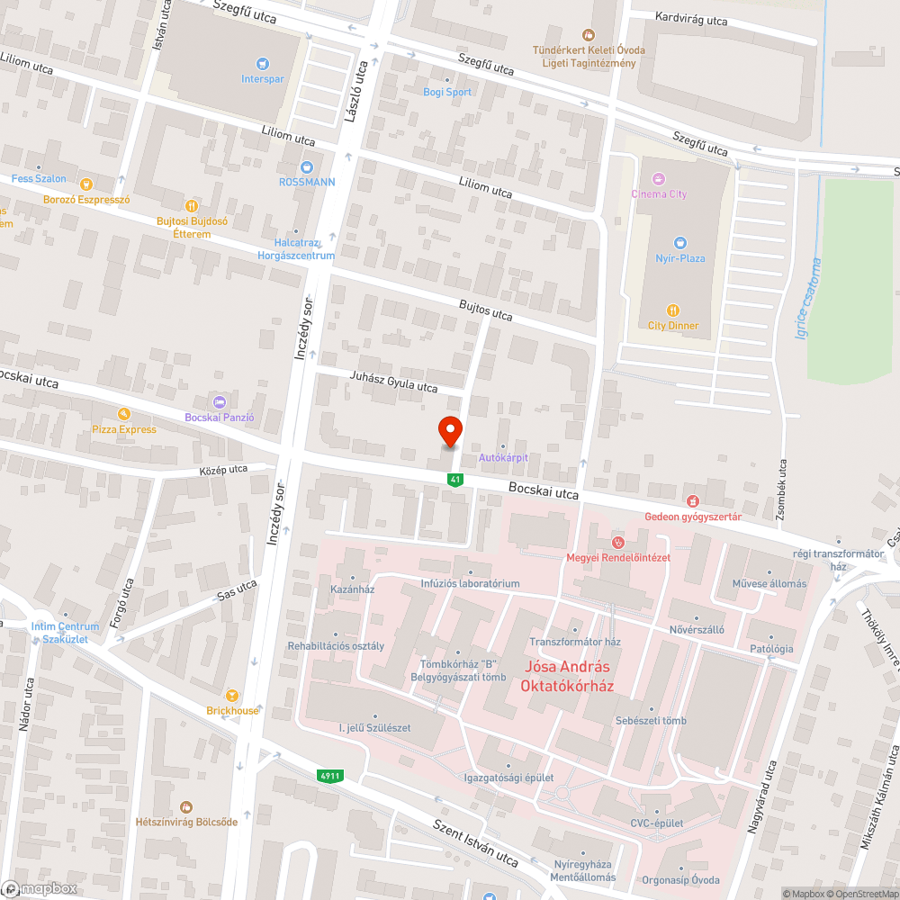 Rendezetlen zöldfelület bejelentés helye