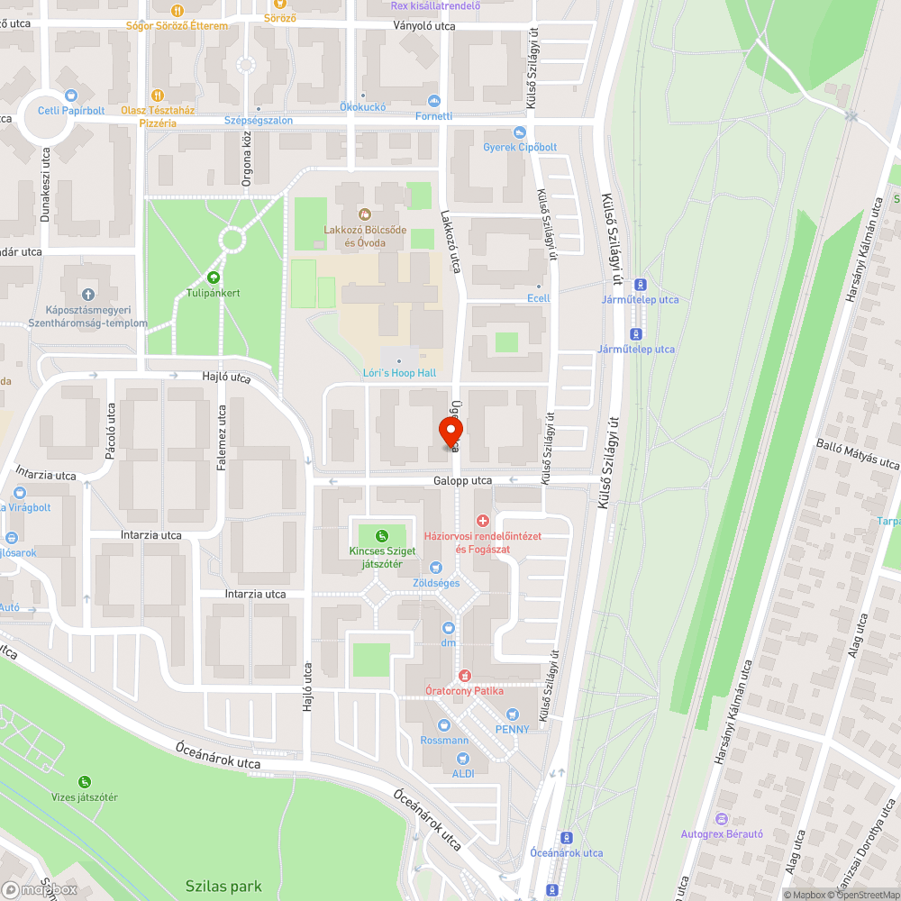 Elhanyagolt előkertek az Ügető utcában bejelentés helye