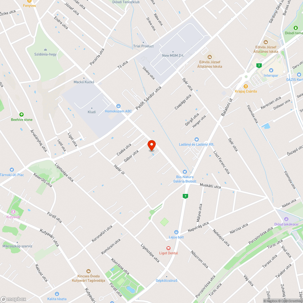 Elhagyott autó bejelentés helye