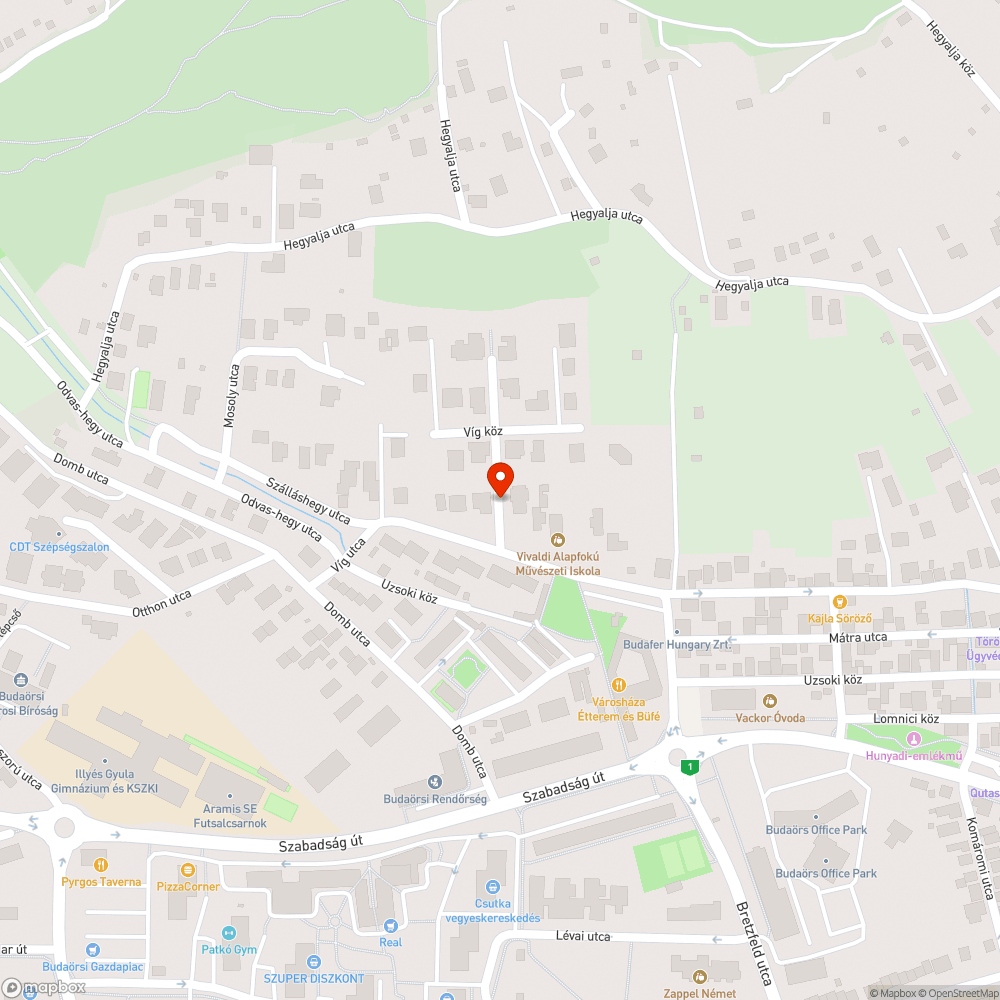 Rendszeres szabálytalan parkolás bejelentés helye