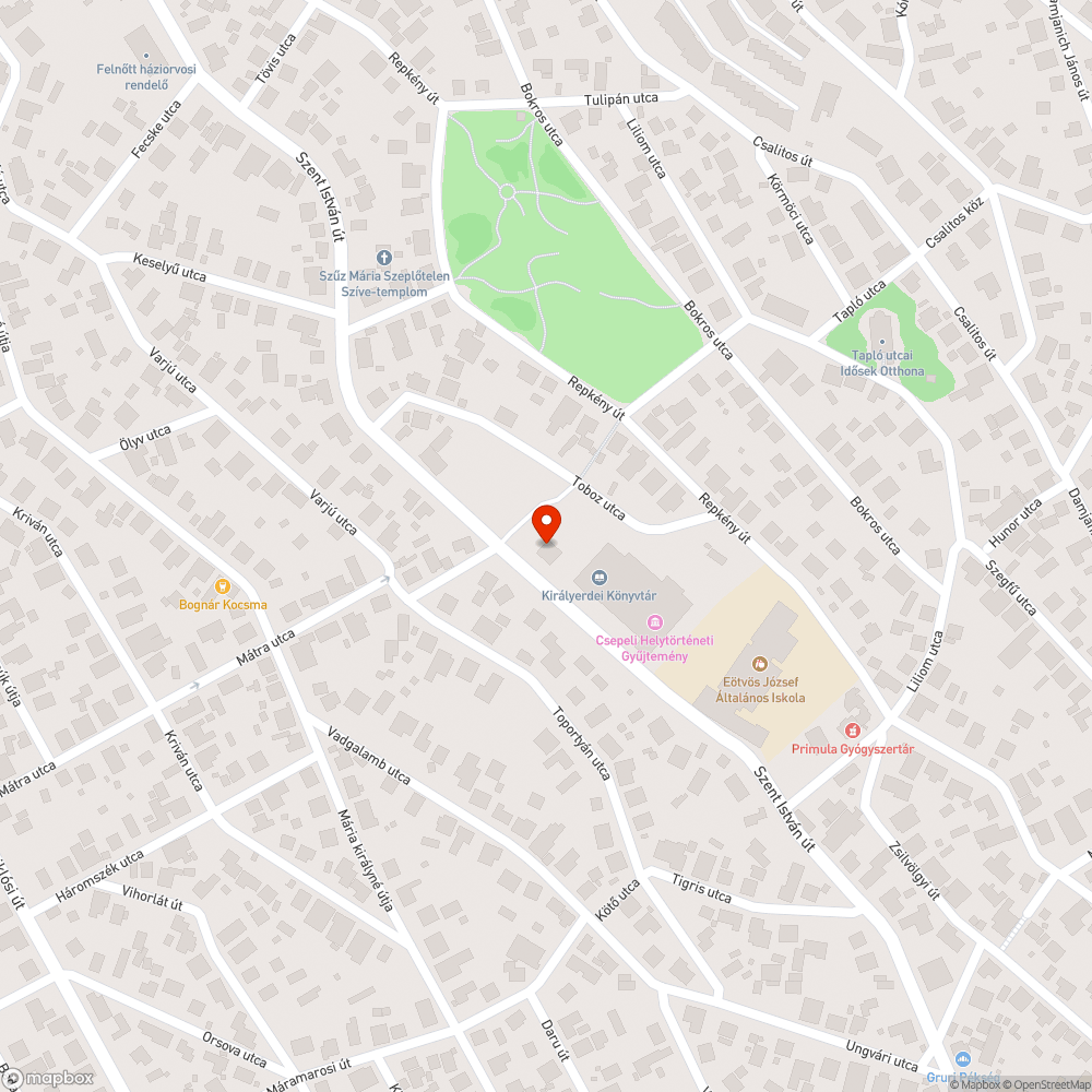 Nincs közvilágítás bejelentés helye