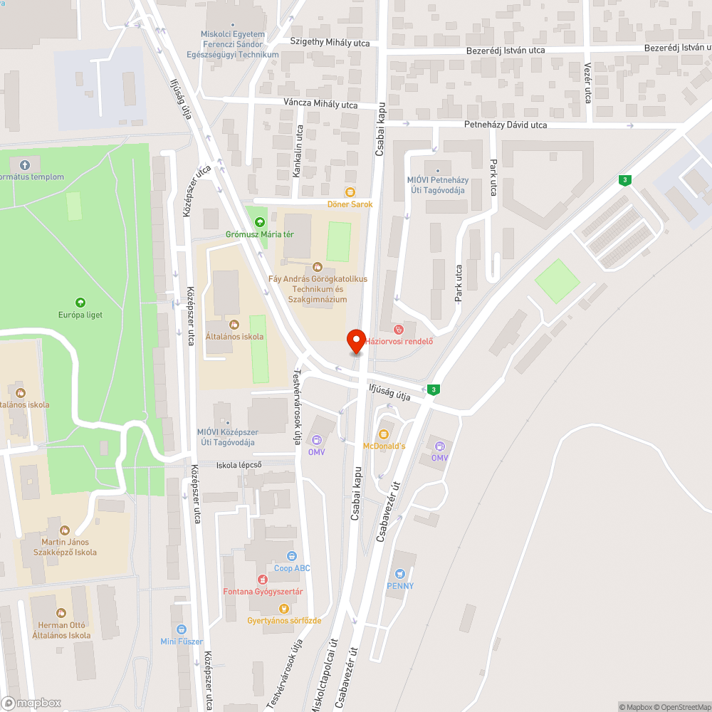 Falevelekkel teli esővíz csatorna bejelentés helye