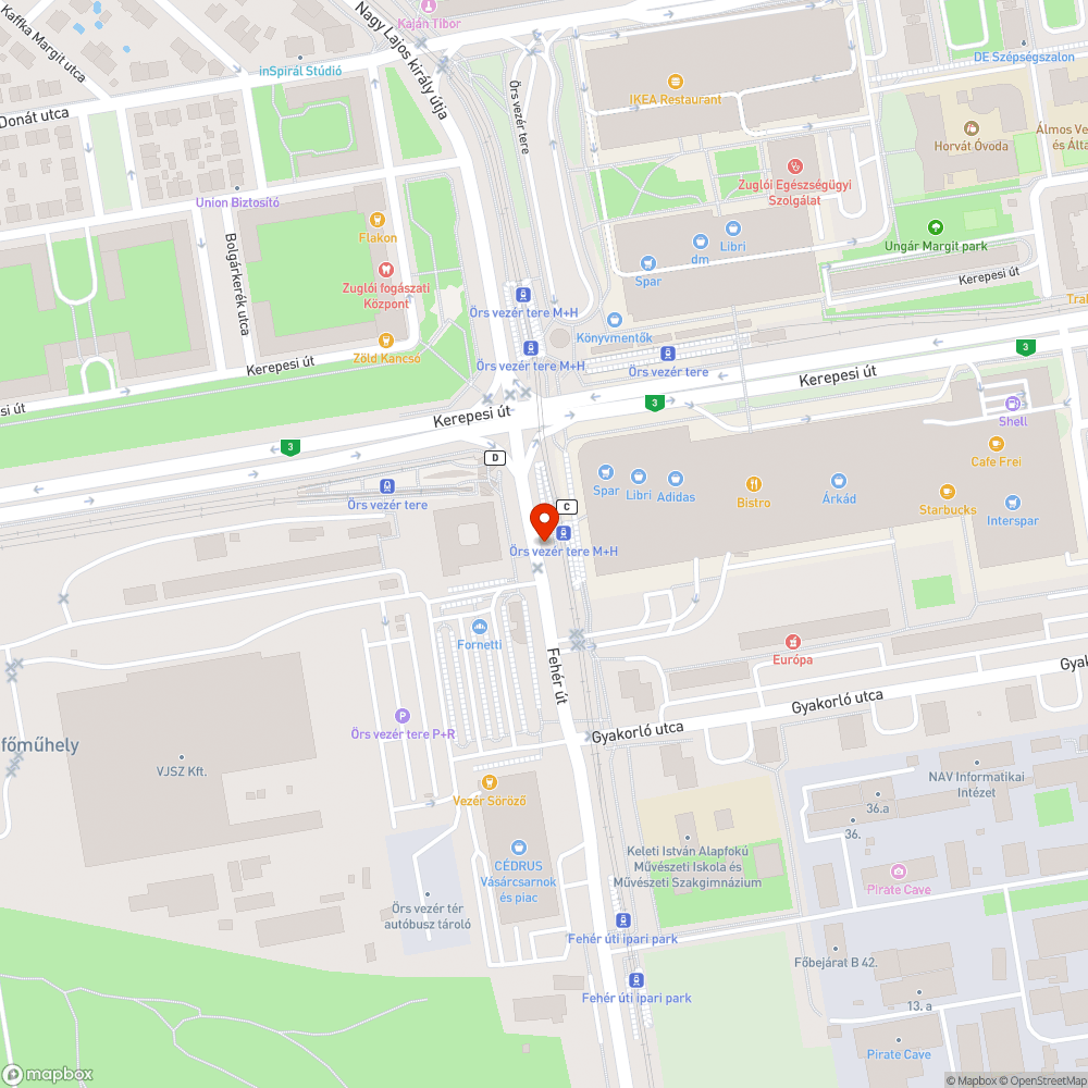 Botlasveszélyes átkelő bejelentés helye