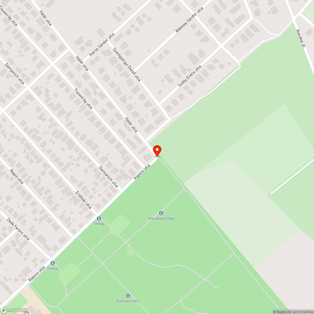 Tele van szeméttel az erdő és környéke bejelentés helye