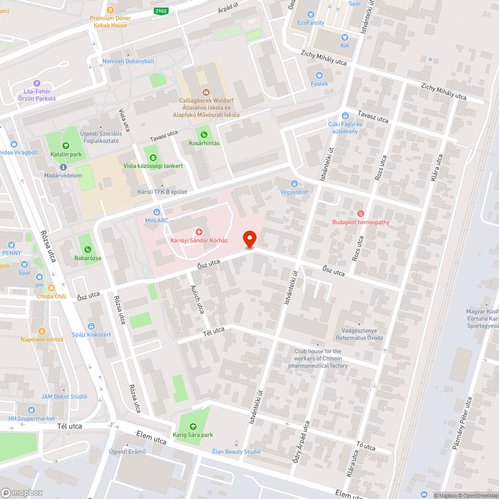 Kutya futtató bejelentés helye