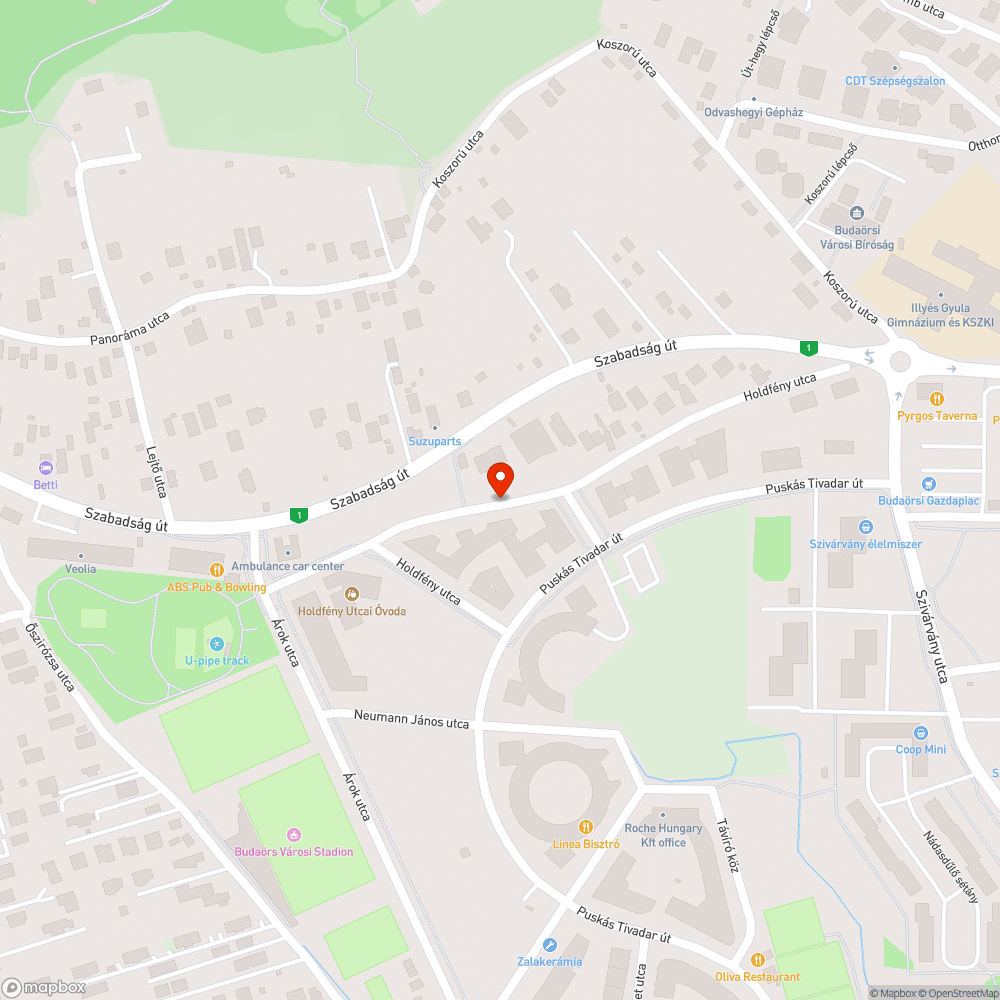 Parkolóba belógó szúrós bokor, karcolja az autókat, ellehetetleníti a kiszállást bejelentés helye