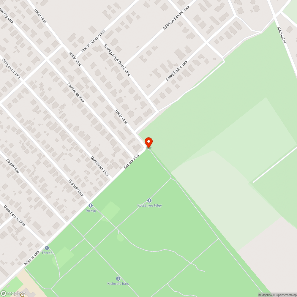 Szemét az erdőben bejelentés helye