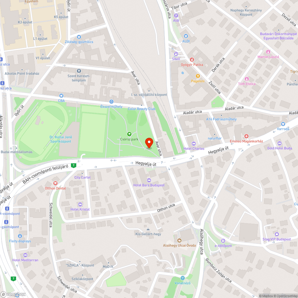 Kiszáradt, leszakadt faág járda felett bejelentés helye