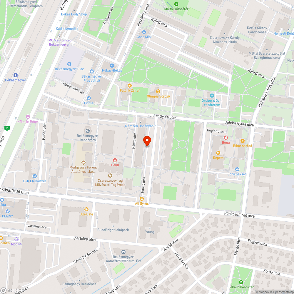 Mozdulatlanul áll a román rendszámú gépjármű bejelentés helye