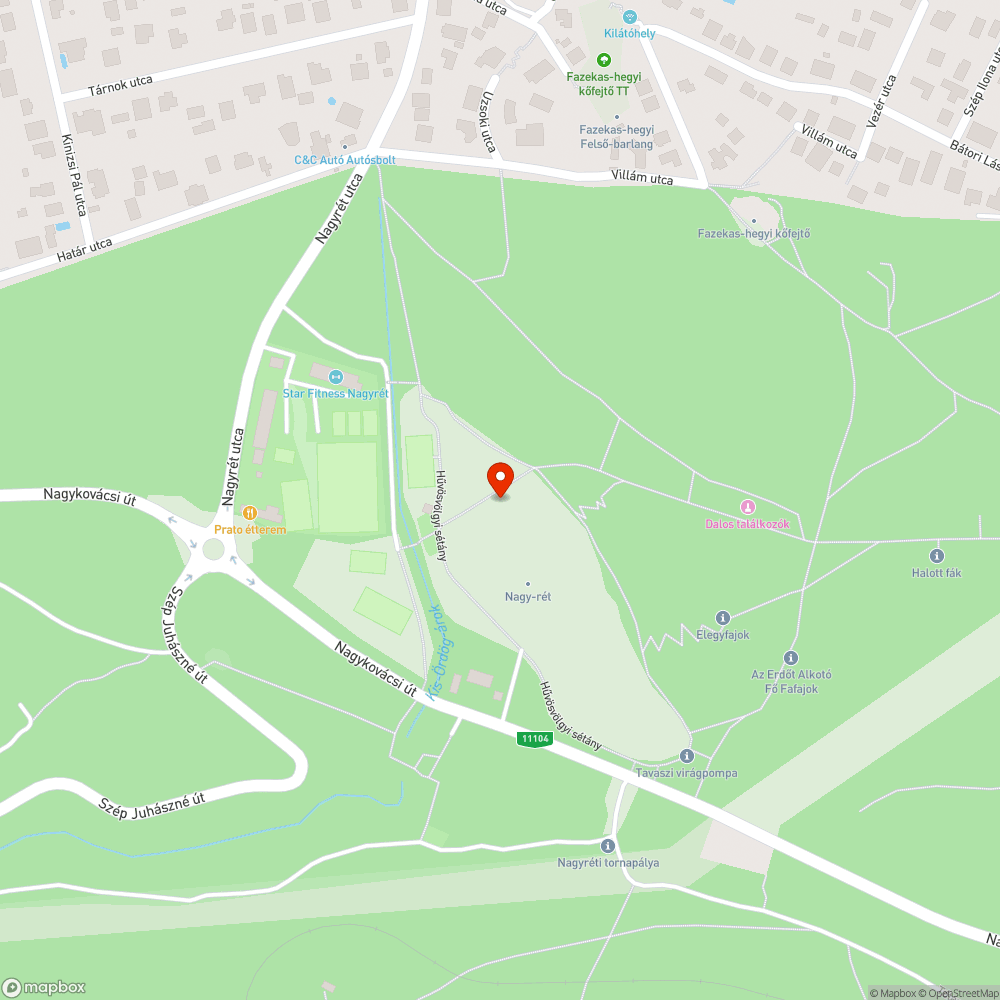 Obszcén graffitik a nagyréti játszótéren bejelentés helye