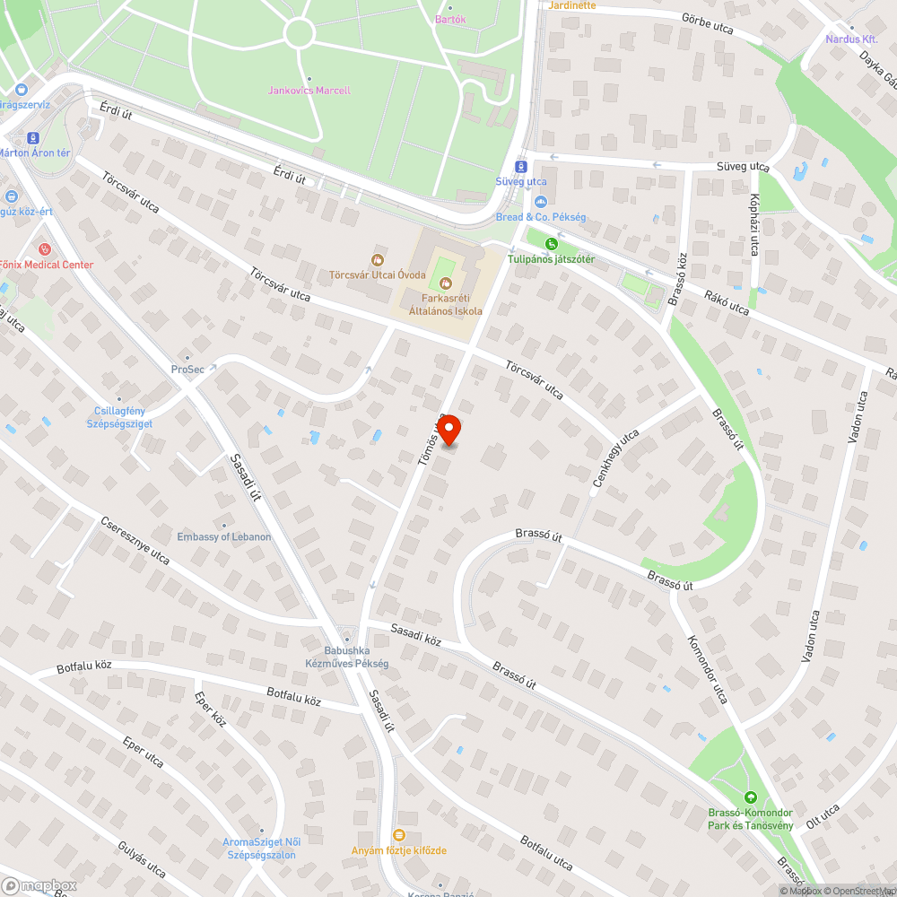 Lejárt műszakis autó bejelentés helye