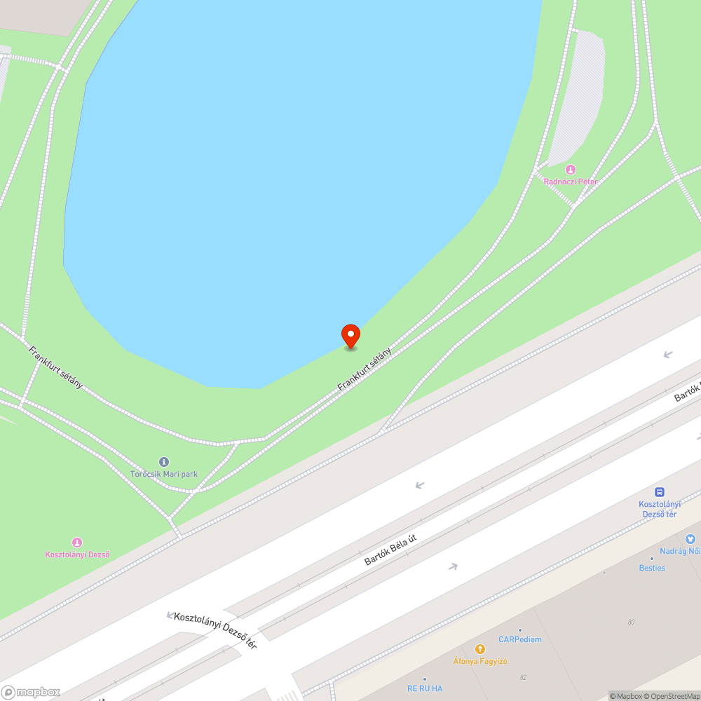 Kiszáradt fa 2. bejelentés helye