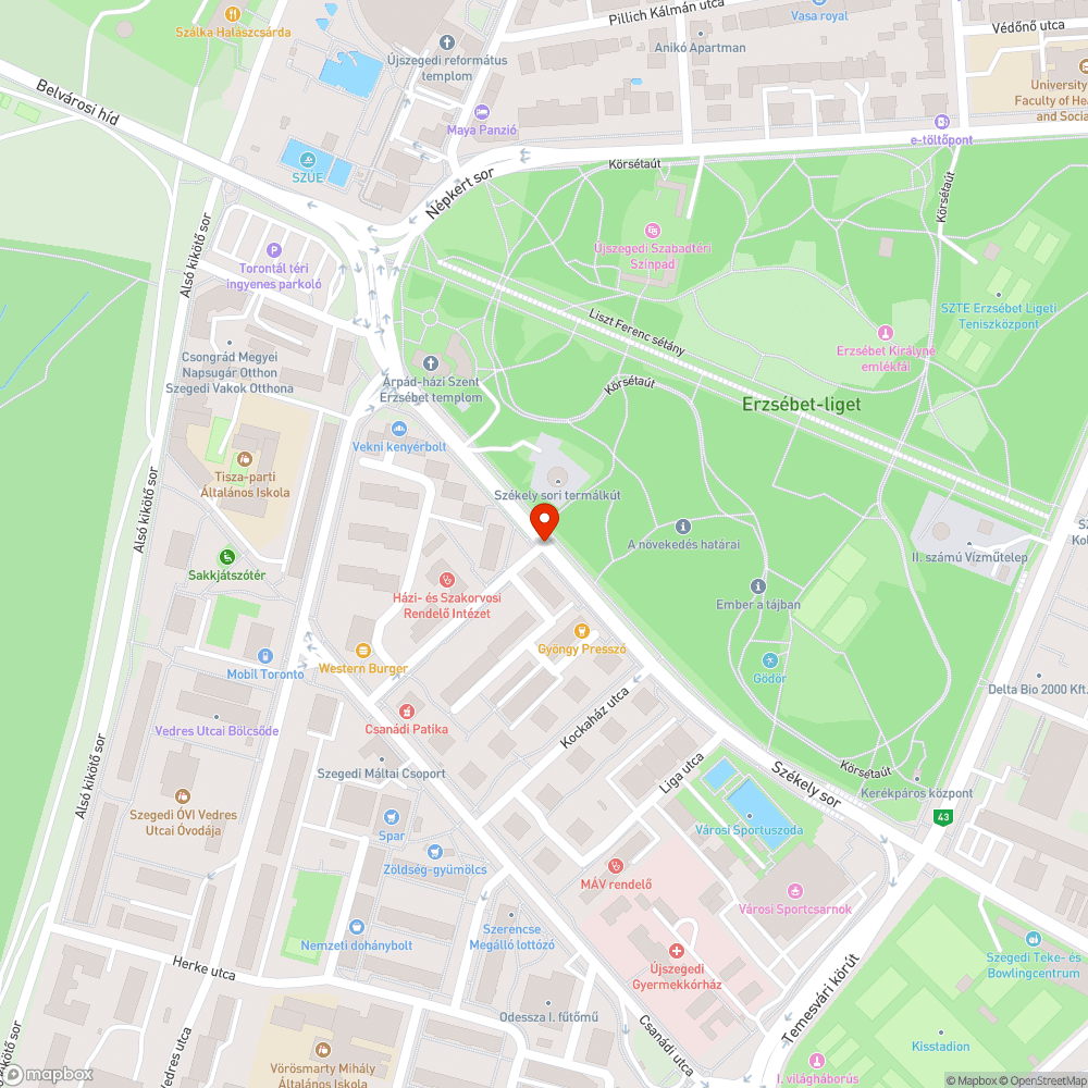 Eldugult víznyelő bejelentés helye