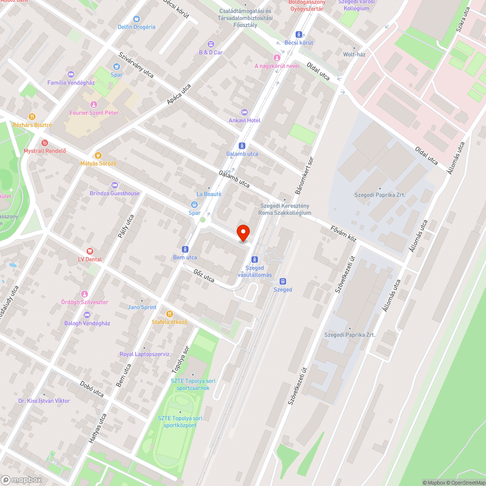 Fél éves szemetes levélkupac a járdán bejelentés helye