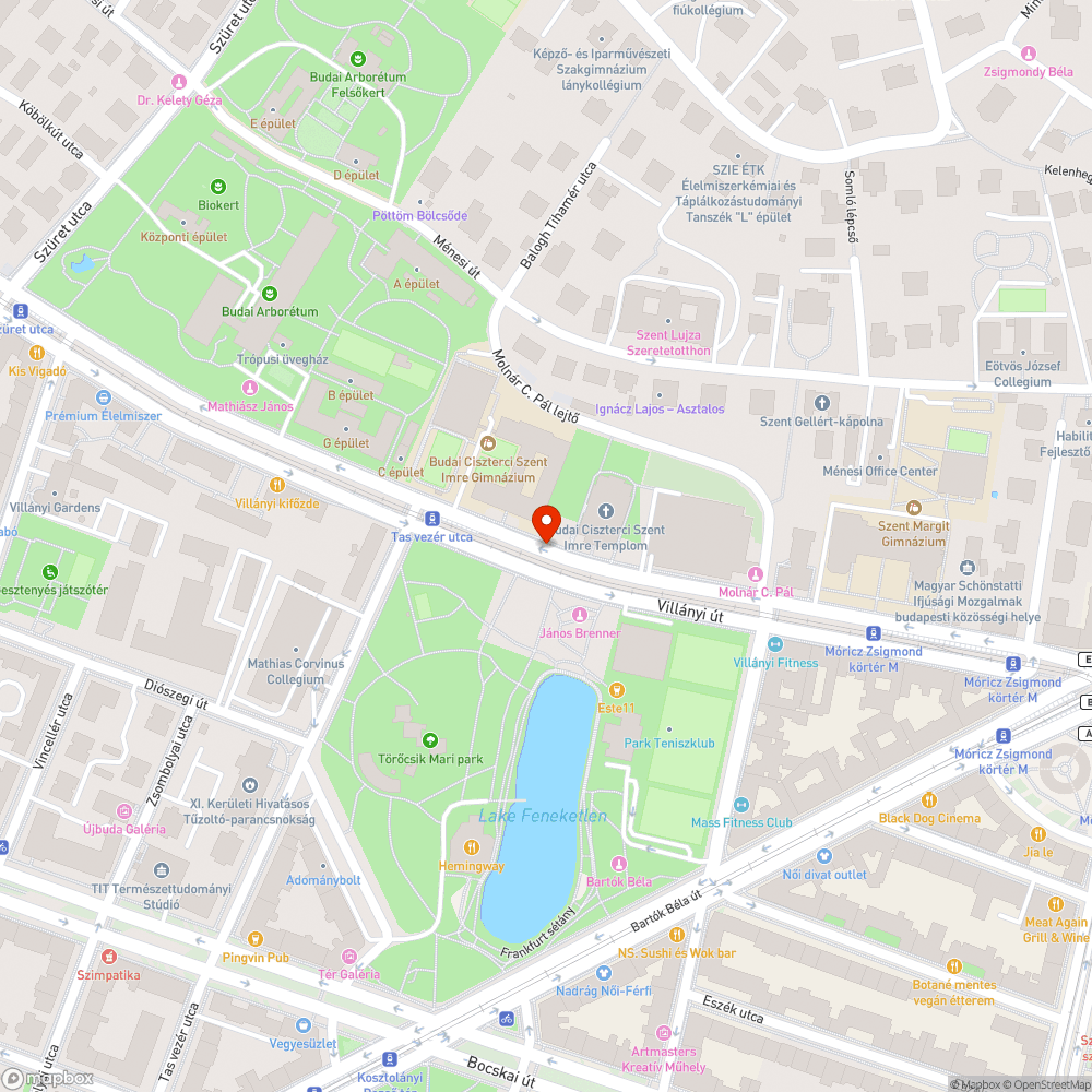 Veszélyes kátyú a kerékpáros nyomon a Villányin bejelentés helye