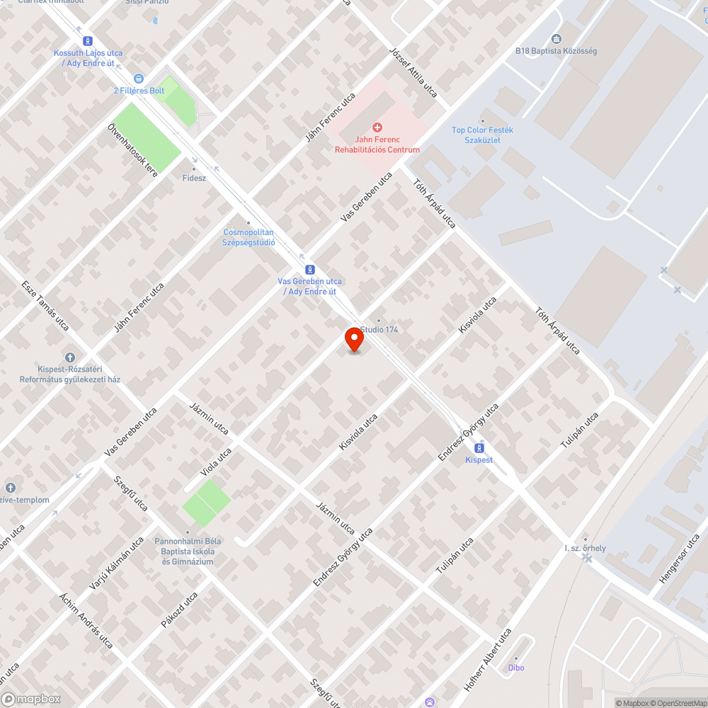 Elpusztult cica bejelentés helye