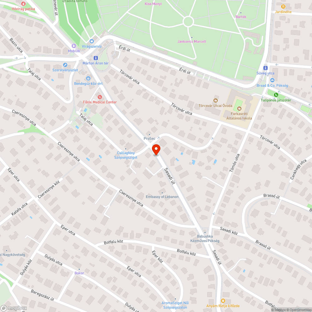 Zajzon utca buszmegálló és járda összefirkálva bejelentés helye