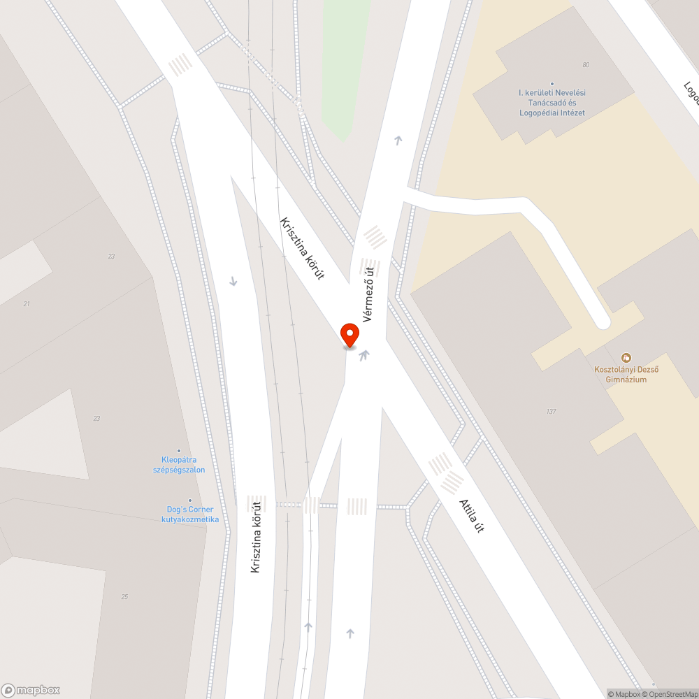 Évek óta nem takarított terület a Krisztina krt elején bejelentés helye