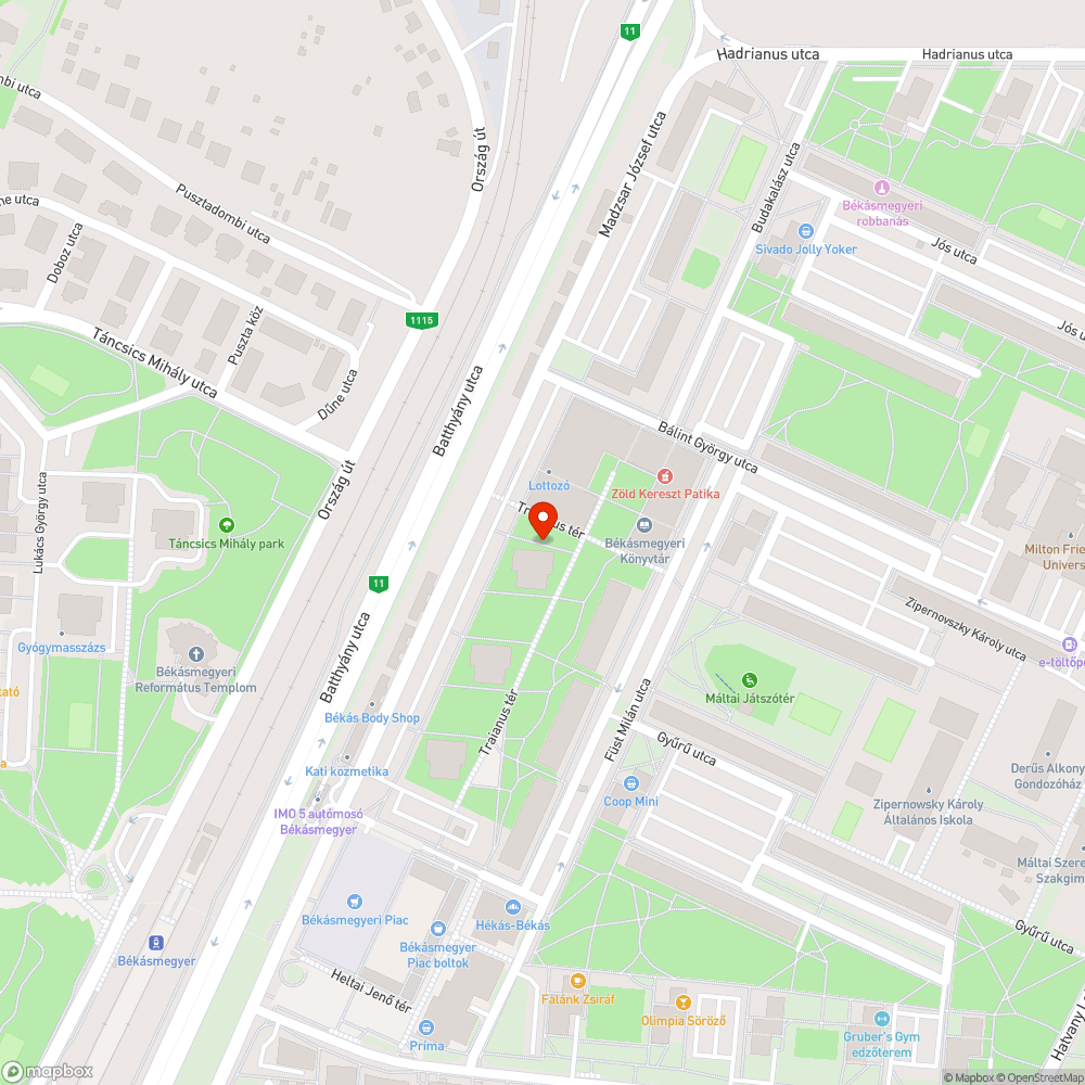 Rengeteg falevél és saras járda bejelentés helye