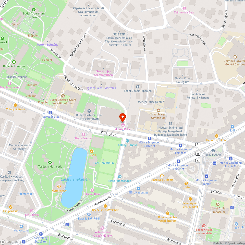 Elhanyagolt zöldterület bejelentés helye