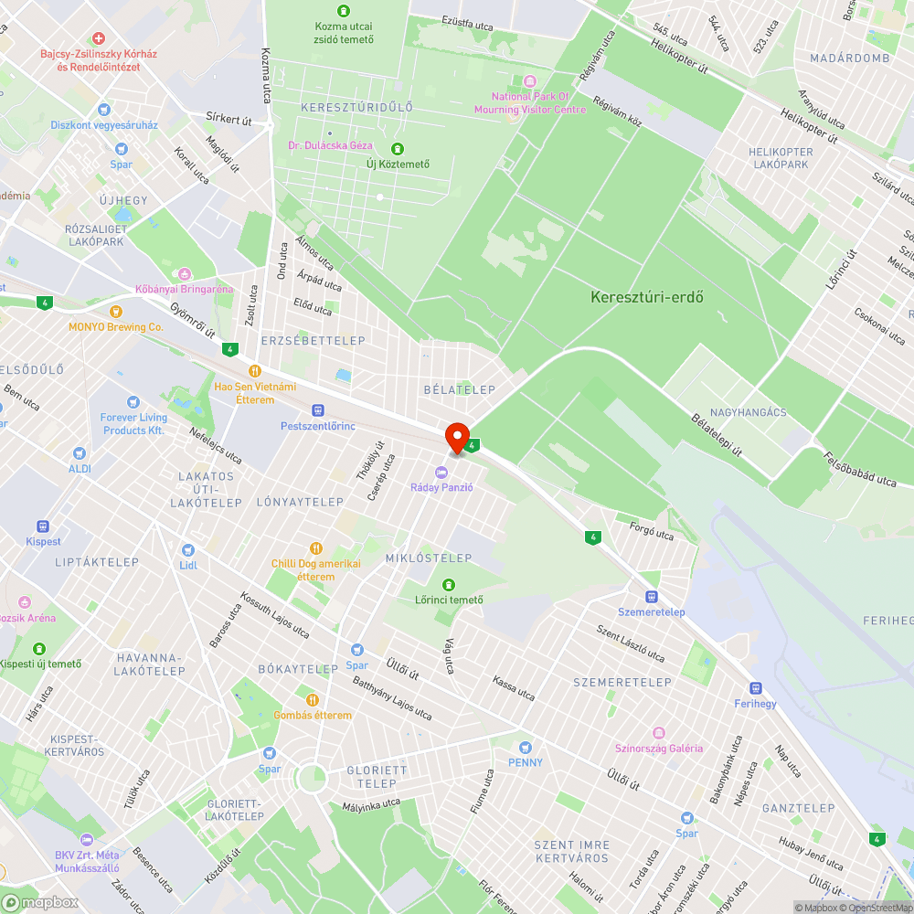 szemét lerakása közterületen, ürítetlen szemetes bejelentés helye