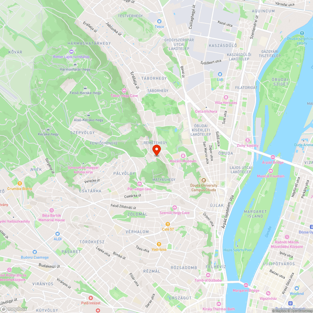 gondozatlan terület bejelentés helye