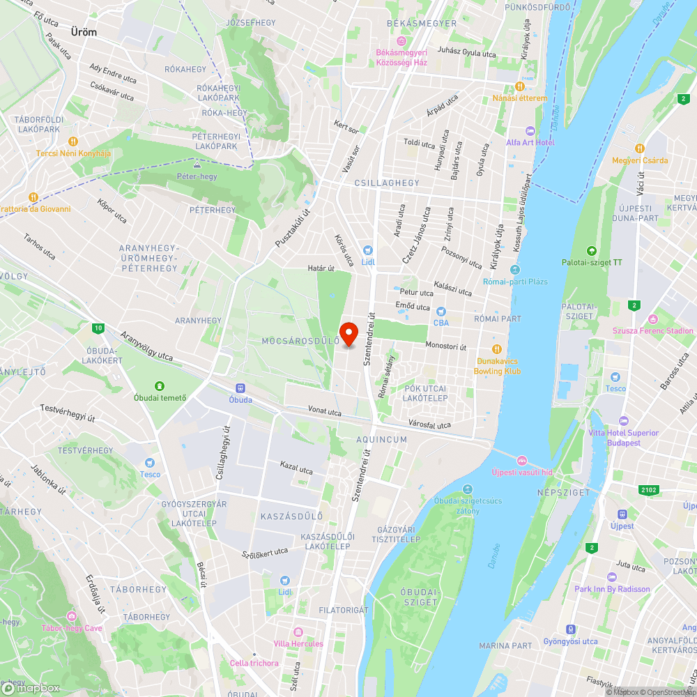 Korhadt fa,amiről hatalmas ágak törnek le,nem csak viharban bejelentés helye