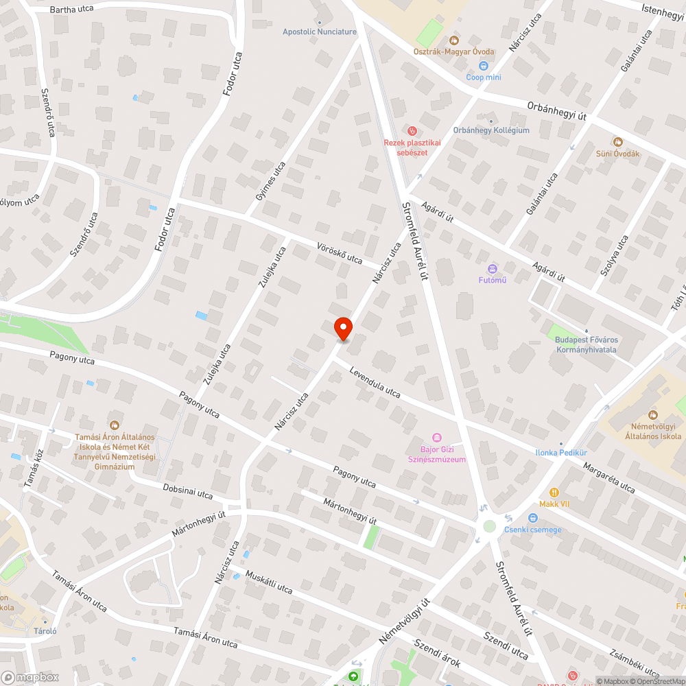 Kátyú - Nárcisz utca bejelentés helye