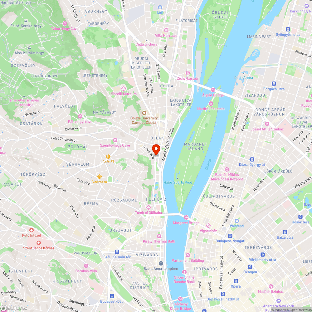 Méretes gyomok a Bécsi úton (Zsigmond térnél) bejelentés helye