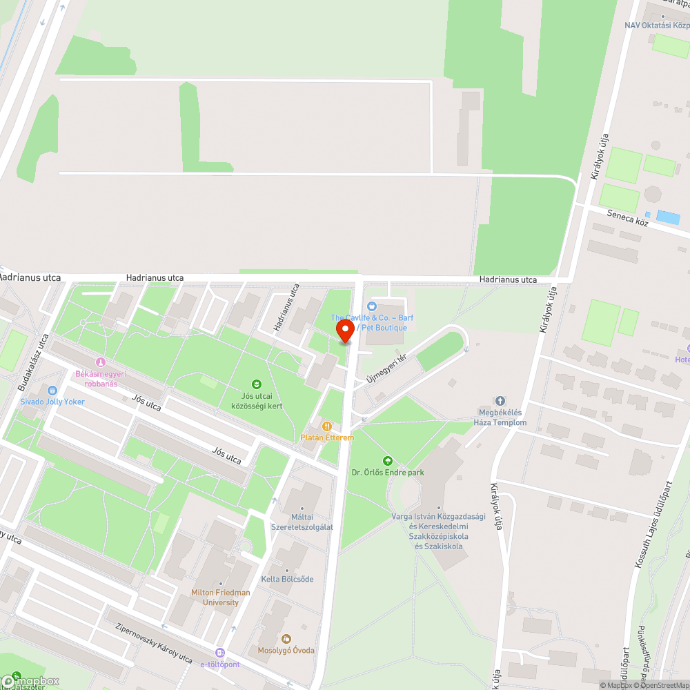 Leszakadt faág bejelentés helye