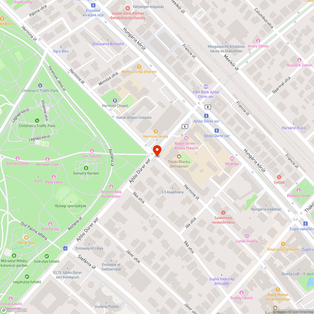 Elütött macska bejelentés helye