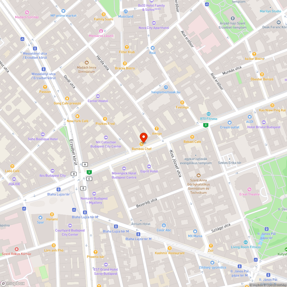 Kátyúk a buszsávban bejelentés helye