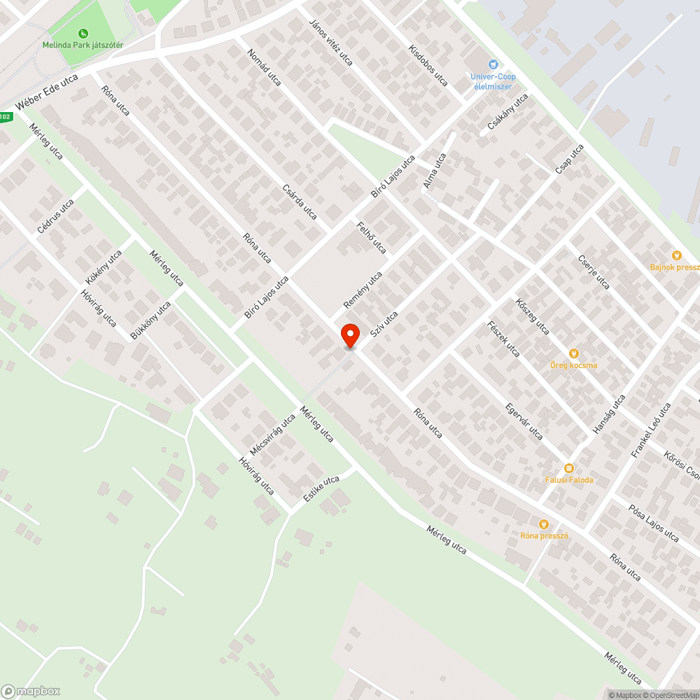 Bózóttal benőtt utcaszakasz bejelentés helye