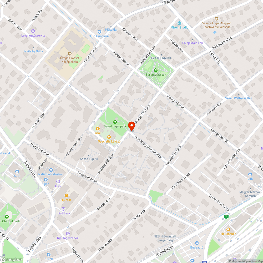 Povl Bang-Jensen - Maléter Pál utca járda bejelentés helye